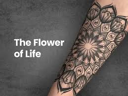 Image result for life flower