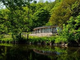 Image result for New Forest/Waterside