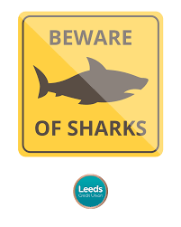 Image result for Leeds Sharks