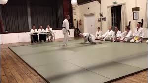 Image result for Aikido Rickmansworth