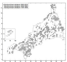 Attēlu rezultāti vaicājumam “Eurhynchium angustirete sporophyte”