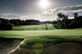 Image result for Billingham Golf Club