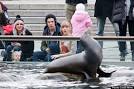 Taylor Swift, Harry Styles Dating: Singers Step Out To Central