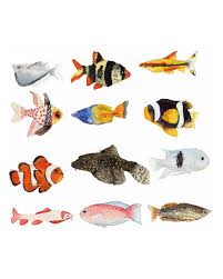 Image result for Inverness Octopush Club