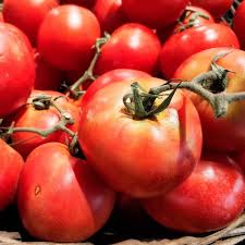 Afbeeldingsresultaat voor earl faux tomato