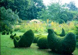 Image result for Priona Tuinen