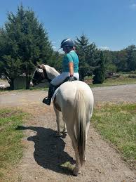 Image result for Stoneleigh Riding Club