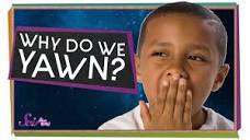 Why Do We Yawn? - YouTube
