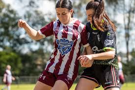 Image result for Warwick Wolves