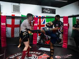 Image result for BERKSHIRE TIGERS THAI