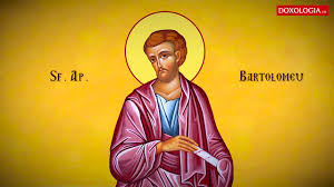 Image result for Sfântul Tit