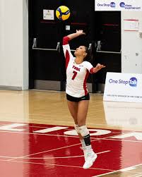 Image result for York University Volleyball Club