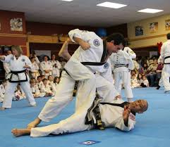 Image result for Laurence Sandums Blackbelt Martial Arts