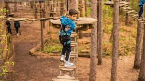 Image result for Go Ape! Leeds Castle