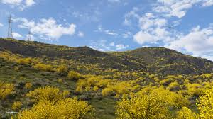 Image result for Boom Hill