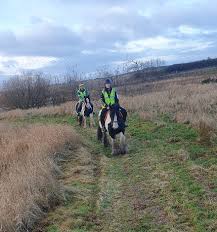 Image result for Buchan Group Riding For The Disabled