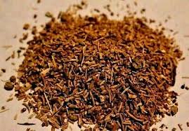 Attēlu rezultāti vaicājumam “Valeriana officinalis fruit”