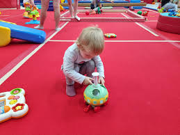 Image result for Arabian School Of Gymnastics, Milton Keynes