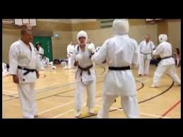 Image result for Seiki Juku Karate Club