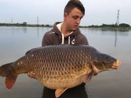 Image result for Weymouth Angling Society