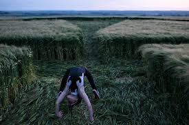 Image result for crop circle