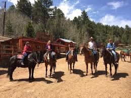 Image result for Old Park Riding Stables