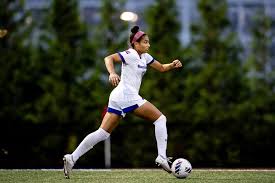 Image result for Wrentham Football Club