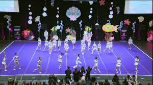 Image result for Phoenix Stars Cheerleaders