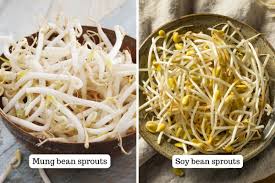 Image result for bean sprout