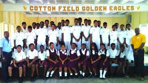 Image result for High Easter Cricket Club