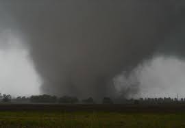 Image result for Tadcaster Tornadoes