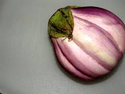 Afbeeldingsresultaat voor rosa bianca eggplant