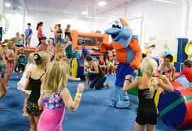 Image result for Elite Recreational Gymnastics Club