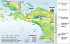 Pure Papua - West Papua: If you're not radicalised yet it's ...