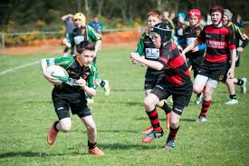 Image result for Llandeilo Rugby Football Club