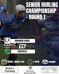 Image result for Sarsfields Hurling Club