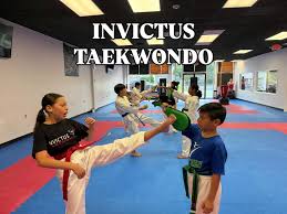 Image result for Invertay Taekwondo Club