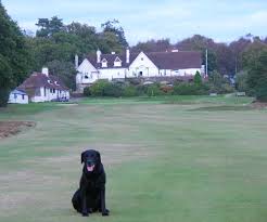 Image result for Crowborough Beacon Golf Club Limited