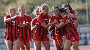 Image result for Meadows Sports Association