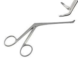 Image result for Nasolamia velox