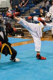 Image result for Crown Tae Kwon Do