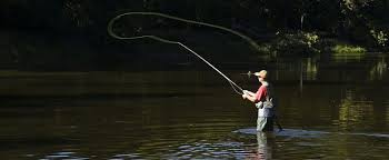 Image result for Kirkham and District Fly Fishers` Club