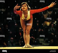 Image result for Olga Gymnastics & Trampoline Club