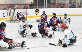 Image result for Ice Hockey International