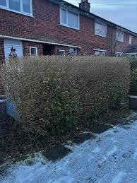 Image result for Woodmancote SMBC