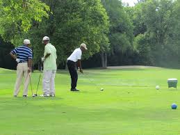 Image result for Southfield Golf Club