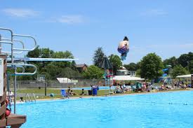 Image result for York University Pool Club