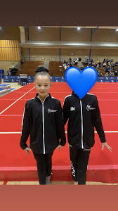 Image result for Crewe & Nantwich Gymnastics Club