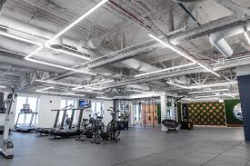 Image result for Peak Fitness