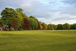 autumn in park (autumn in - via Daymix